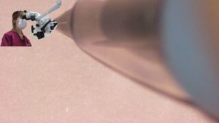 みなさま、おはようございます🌞
MDH です！
ようやく暖かな季節となってきましたね🌸
MDH も桜前線にのって今日から約2週間にわたり、インストラクターの自己紹介をしていこうとおもいます！
まずは東京の桜のニュースをみて、今か今かと桜の開花を待つチーム新潟からの投稿です✨️